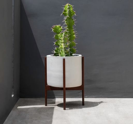 Case Study Ceramics® Large Cylinder Planter with Wood Stand by ...